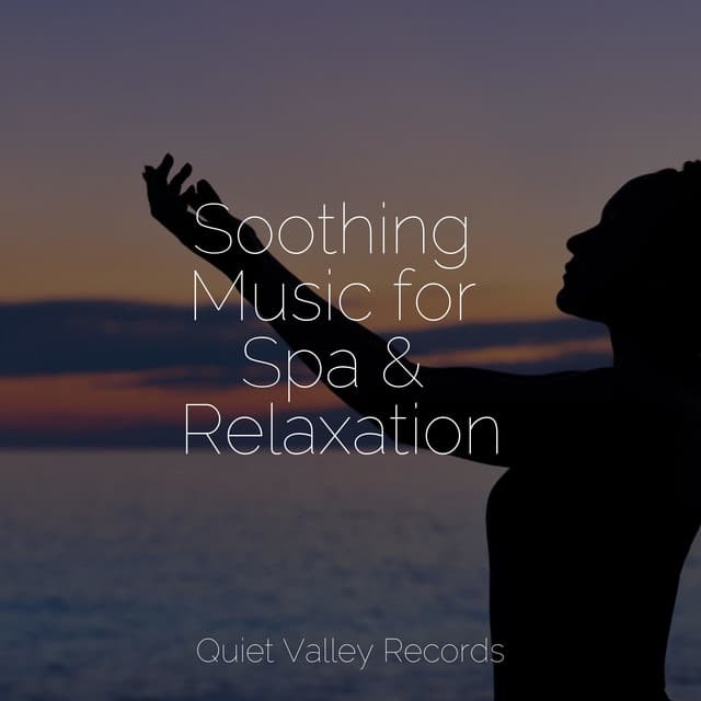 Soothing Music for Spa & Relaxation - Hipnose Natureza Sons Coleção
