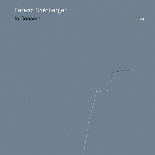 In Concert - Ferenc Snétberger