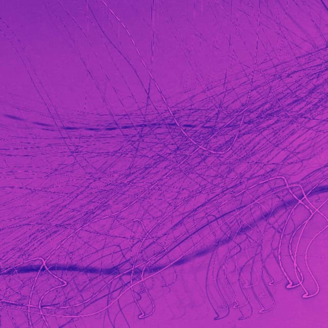 Music for Nocturnal Nite - Happy Morning Music