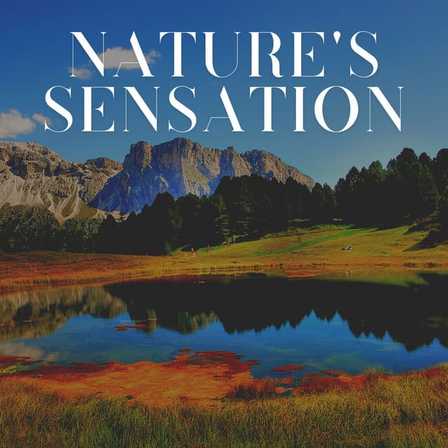 Nature's Sensation - Binaural Beats Sleep Tones