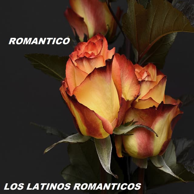 Romantico - Los Latinos Románticos