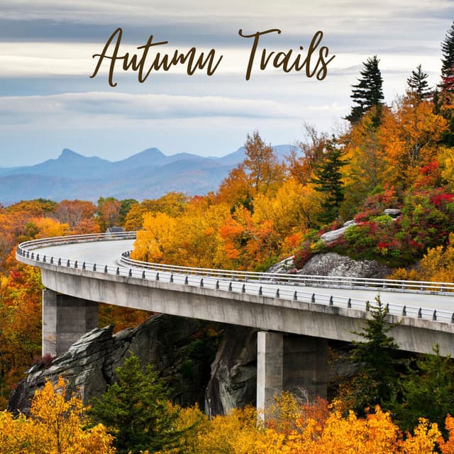 Autumn Trails - Ocean Sounds ACE