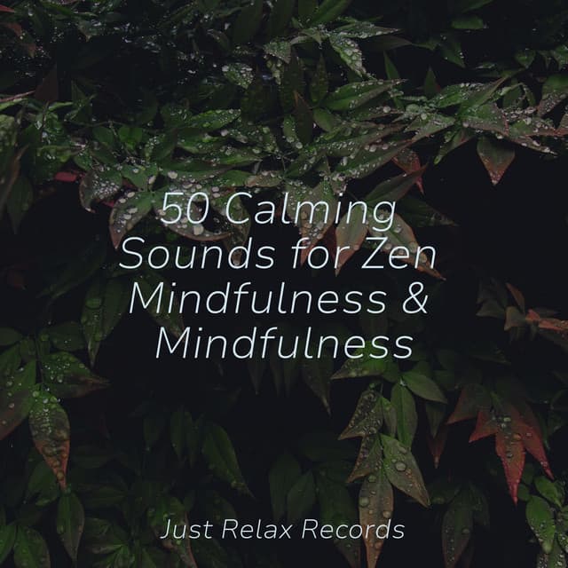 50 Calming Sounds for Zen Mindfulness & Mindfulness - Meditación