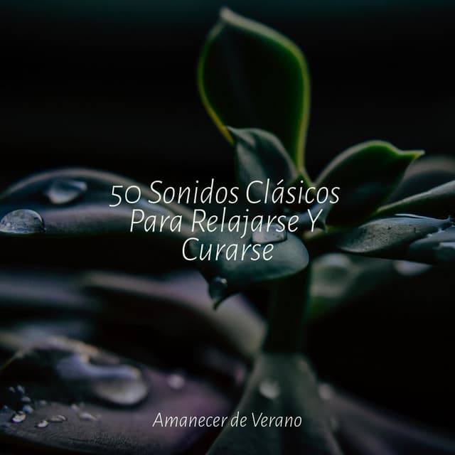 50 Sonidos Clásicos Para Relajarse Y Curarse - Relajación