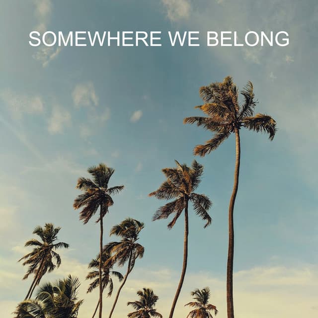 Somewhere We Belong - Thinking Music