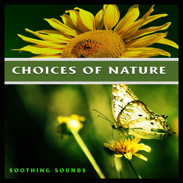 Choices of Nature - Soothing Sounds