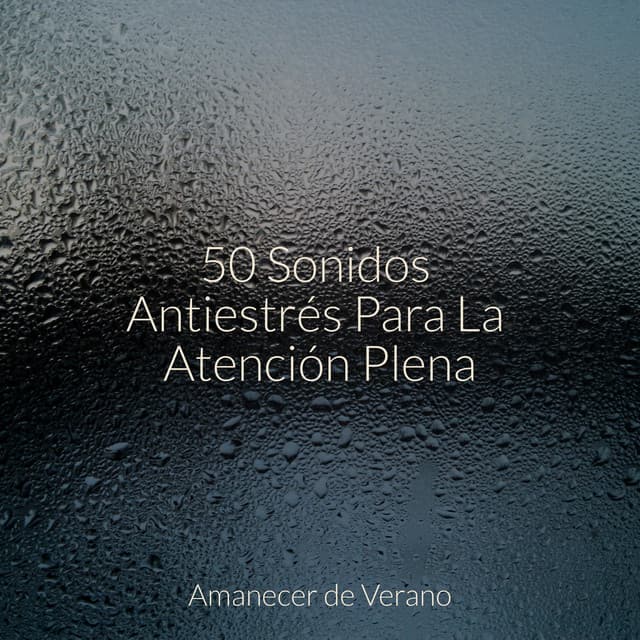 50 Sonidos Antiestrés Para La Atención Plena - Naturaleza Sonidos