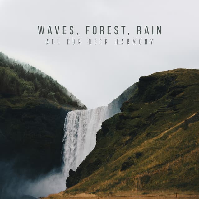 Waves, Forest, Rain: All for Deep Harmony, Well-Being and Natural Mindfulness - Meditative Mantra Zone