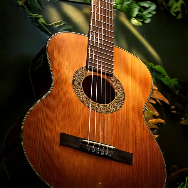 Harmonic Strings: Guitar Music for Every Moment - Spanish Guitar