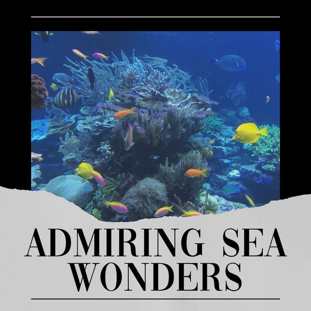 Admiring Sea Wonders - Brain Timbre