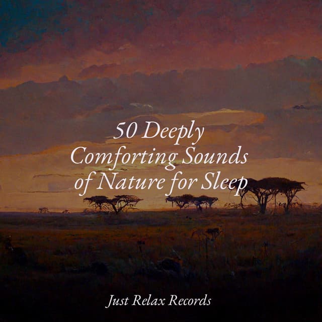 50 Deeply Comforting Sounds of Nature for Sleep - Sleepy Night Music