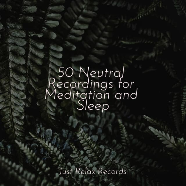 50 Neutral Recordings for Meditation and Sleep - Nursery Rhymes Club