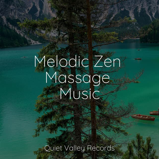 Melodic Zen Massage Music - Rainfall