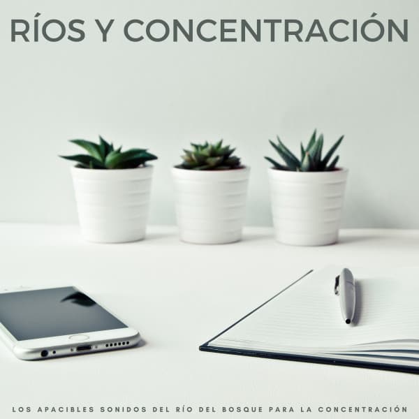 Ríos Y Concentración: Los Apacibles Sonidos Del Río Del Bosque Para La Concentración - Concentrarse en la tarea