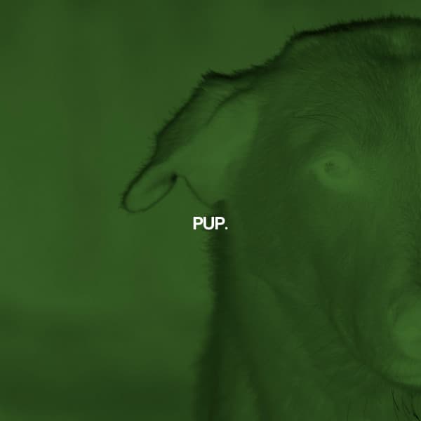 PUP. - Cafe Jazz Classics