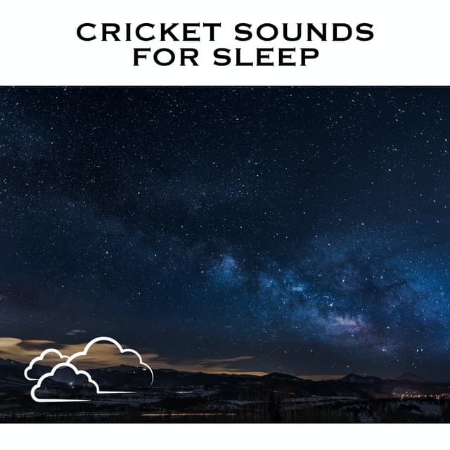 Cricket Sounds For Sleep - Cricket Sounds