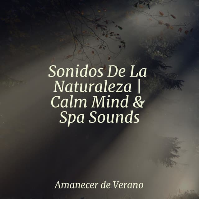 Sonidos De La Naturaleza | Calm Mind & Spa Sounds - Musica Para Dormir y Sonidos de la Naturaleza