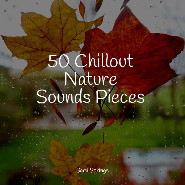 50 Chillout Nature Sounds Pieces - Sonidos de la Naturaleza Relax