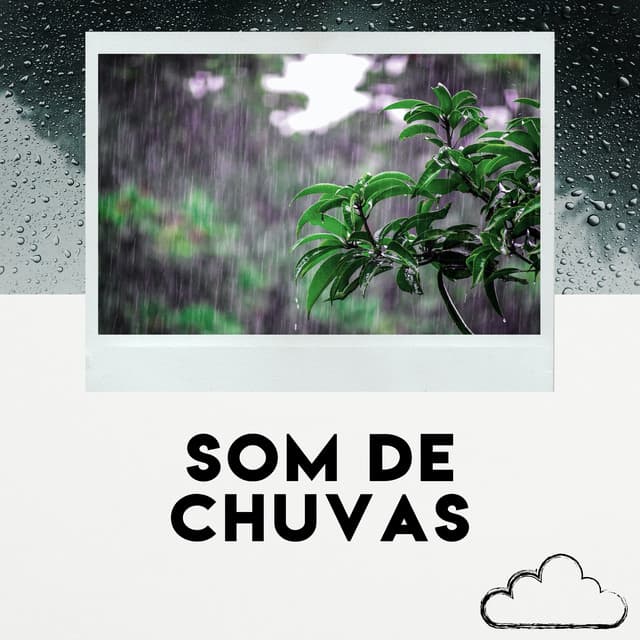 Sons De Chuva Ciclo