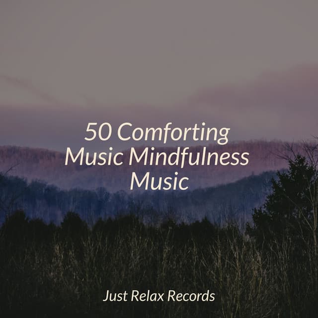50 Comforting Music Mindfulness Music - Sleep Baby Sleep