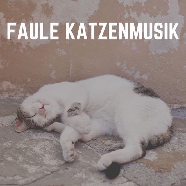 Faule Katzenmusik - Katzenmusik