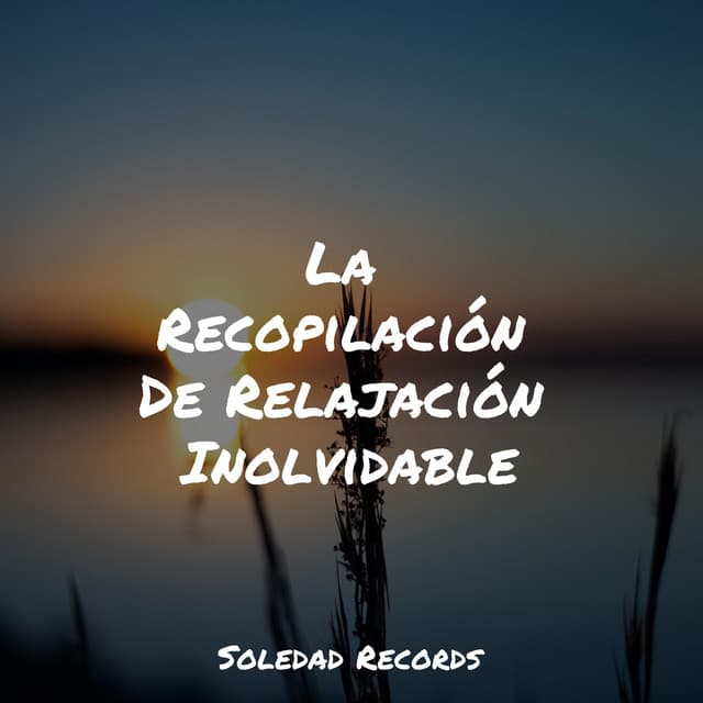 La Recopilación De Relajación Inolvidable - Música a Relajarse