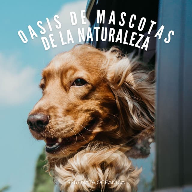 Oasis De Mascotas De La Naturaleza: Serenata Oceánica - Dao Naturaleza