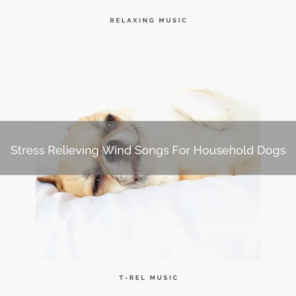 Stress Relieving Wind Songs For Household Dogs - Dog Total Relax