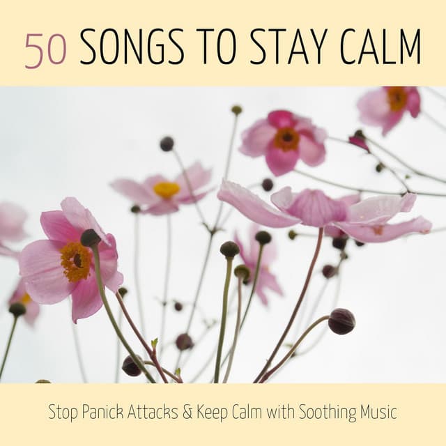 50 Songs to Stay Calm: Stop Panick Attacks & Keep Calm with Soothing Music - The Calm Service