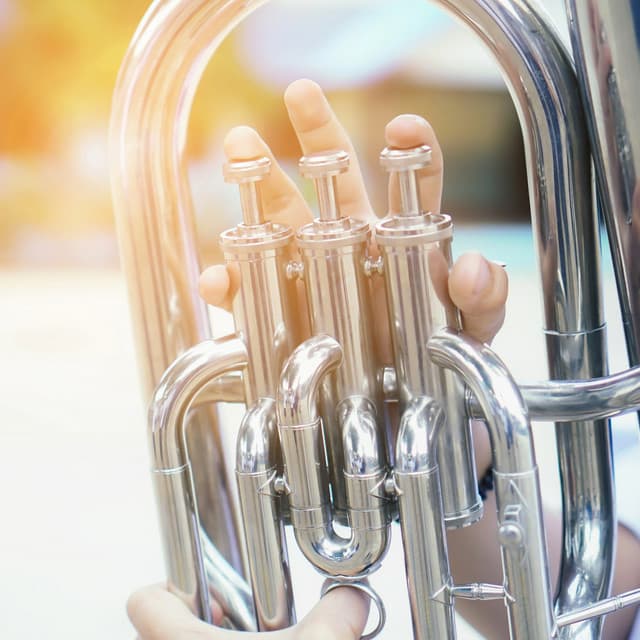 Soft Orchestra Melodies for Pet Comfort - Charles Anderson