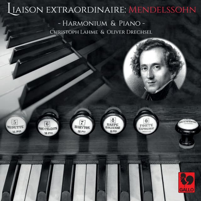 Mendelssohn: Liaison Extraordinaire pour Harmonium-Piano duo - Felix Mendelssohn