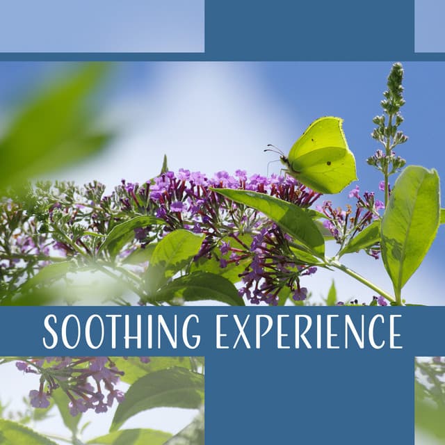 Soothing Experience - Gentle Crystal Sounds Divine