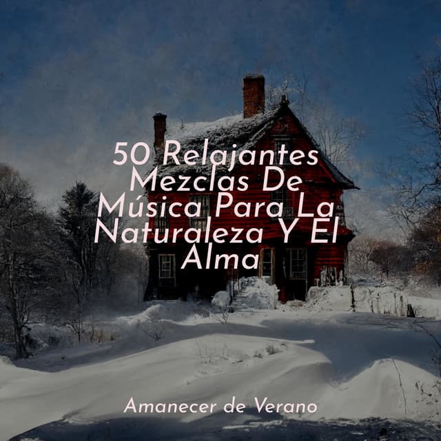 50 Relajantes Mezclas De Música Para La Naturaleza Y El Alma - Meditación Interna