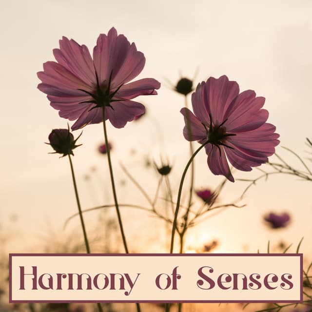 Harmony of Senses: Relax Time - Harmony Nature Sounds Academy
