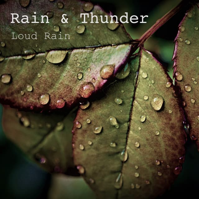 Loud Rain - Rain & Thunder