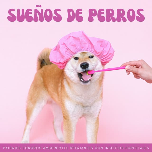 Sueños De Perros: Paisajes Sonoros Ambientales Relajantes Con Insectos Forestales - Sonidos de la naturaleza desconectados