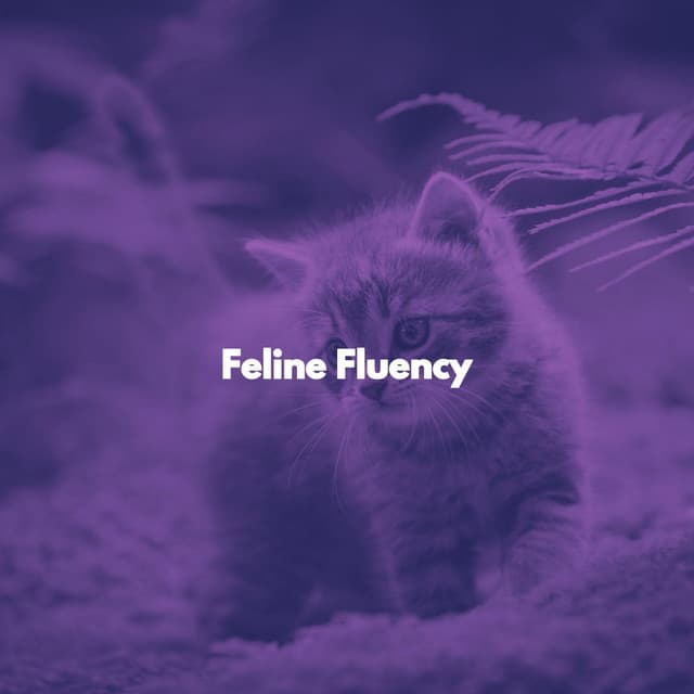 Feline Fluency - Cats Music Den