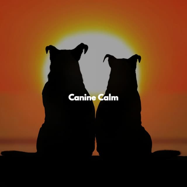 Canine Calm - Easy Sunday Morning Music