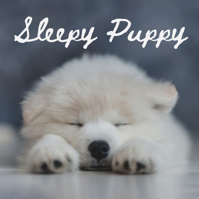 Sleepy Puppy: Gentle Piano for Dogs, Birds Sounds for Dog Relaxation - Pet Care Club
