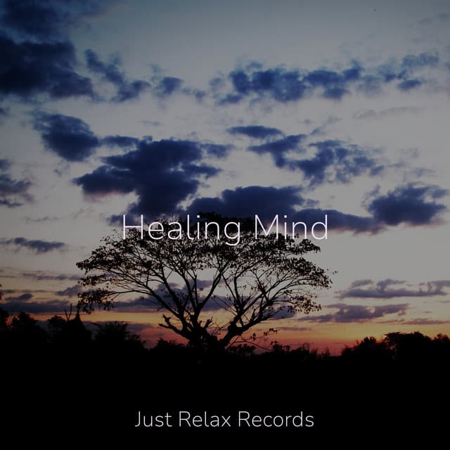 Healing Mind - Exam Study Classical Music