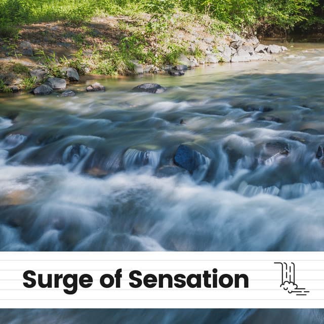 Surge of Sensation - The Water Sleepers