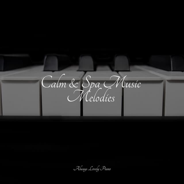 Calm & Spa Music Melodies - Chillout Jazz Collective