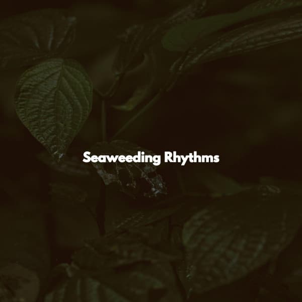 Seaweeding Rhythms - Instrumental Cafe Jazz Radio
