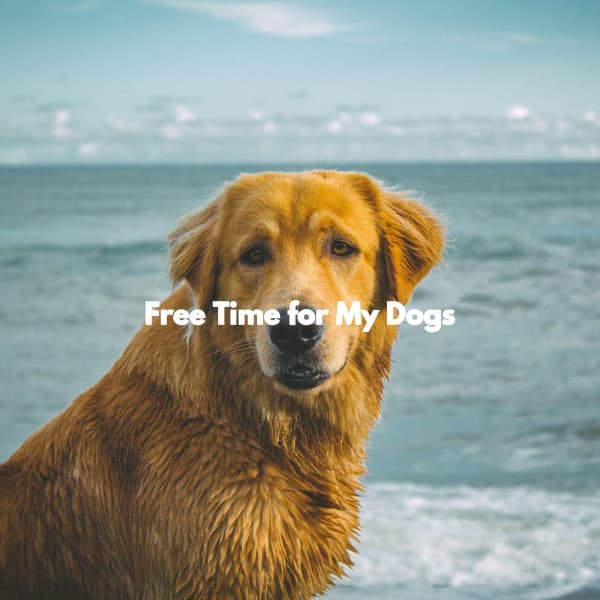Free Time for My Dogs - Música para Descansar