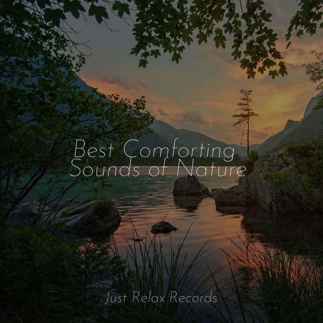 Best Comforting Sounds of Nature - Dormir