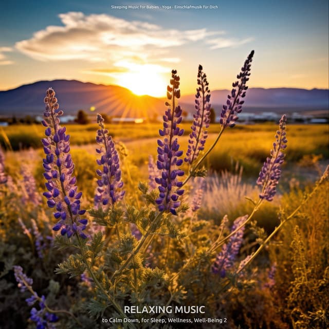 Relaxing Music to Calm Down, for Sleep, Wellness, Well-Being 2 - Sleeping Music for Babies