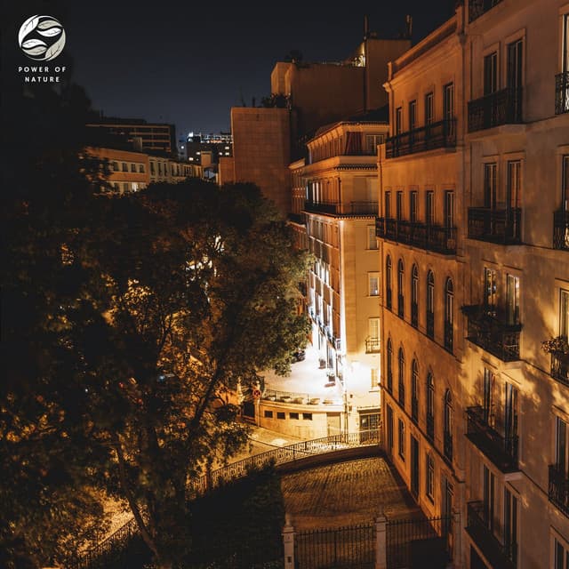 Silent Nighttime Keys - Mystic Haven