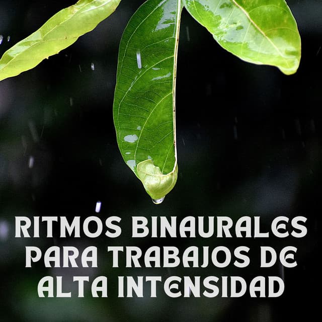 Música de Trabajo Clasico