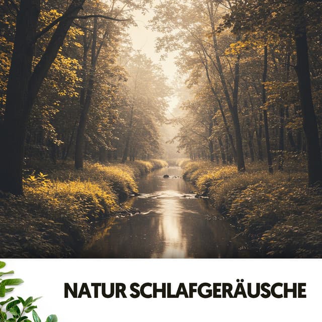 Natur Schlafgeräusche: Melodische Traumlandschaften - Dog Relaxation