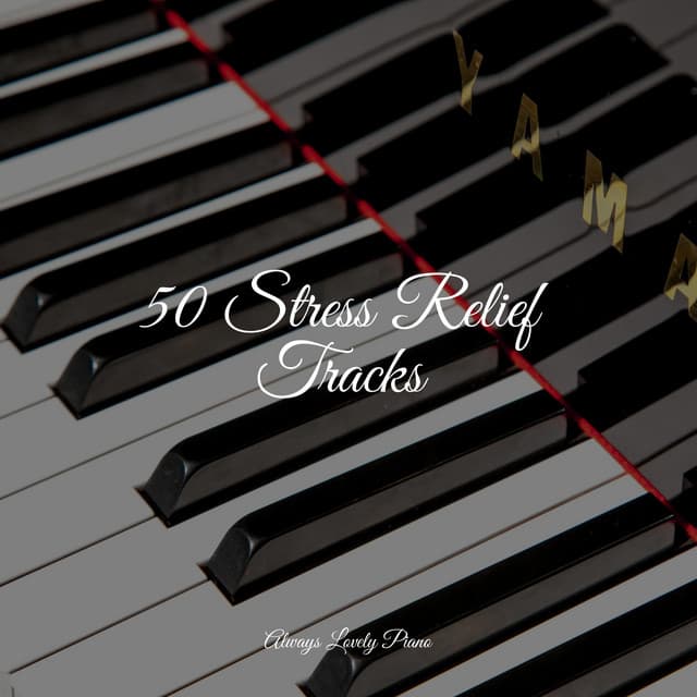 50 Stress Relief Tracks - Romantic Piano Music